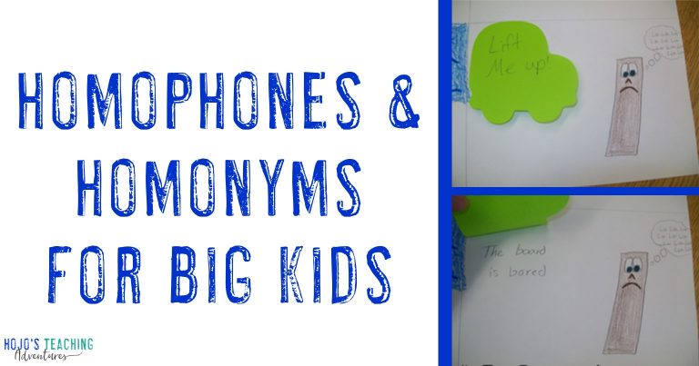 homophones & homonyms for big kids