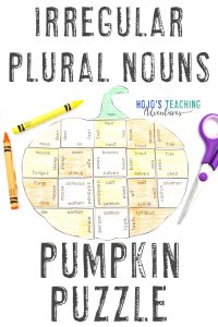 Click here to buy your own Irregular Plural Nouns puzzle!